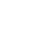 CARPAYG logo