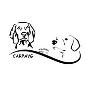CARPAYG logo